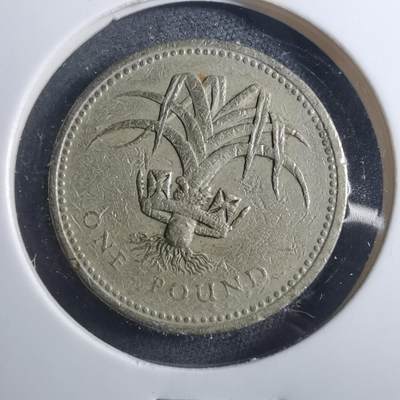 沼泽如烟--第893场 - 英国1990年一磅