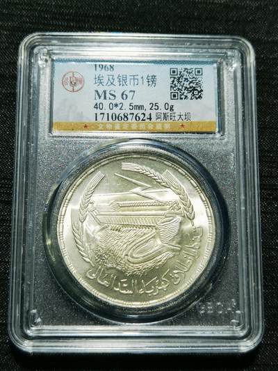 天下钱庄专场欢迎参拍 - 埃及1磅银币