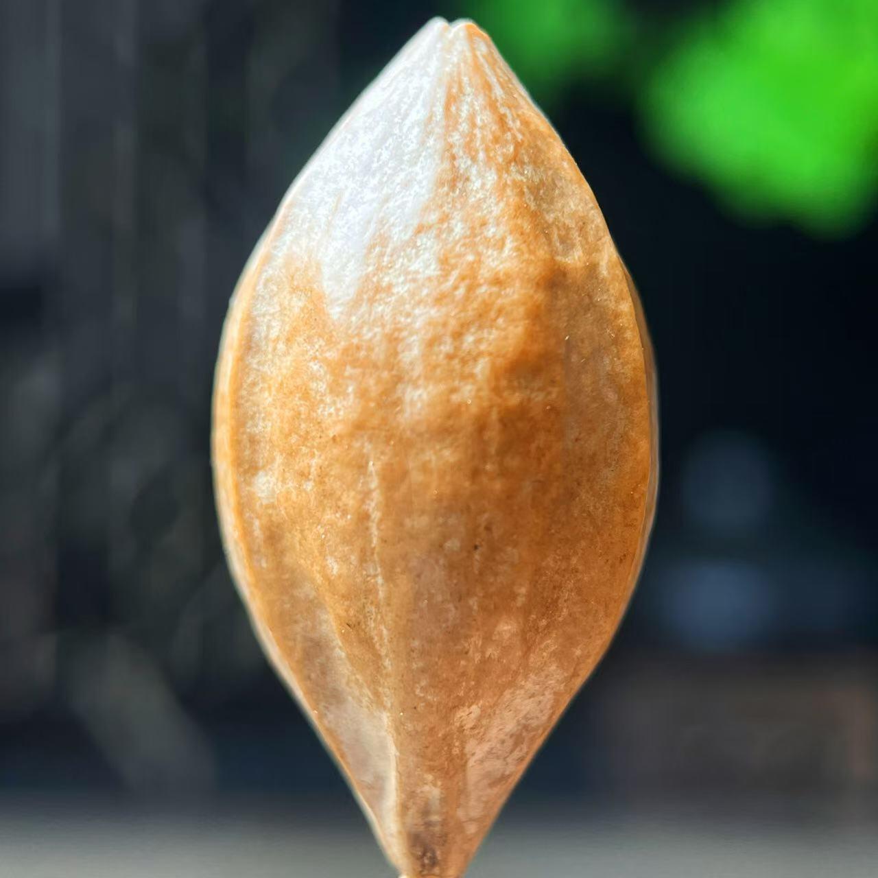 听雨轩（二十）竹雕 核雕专场 橄榄核雕 魔女 单粒  2.0