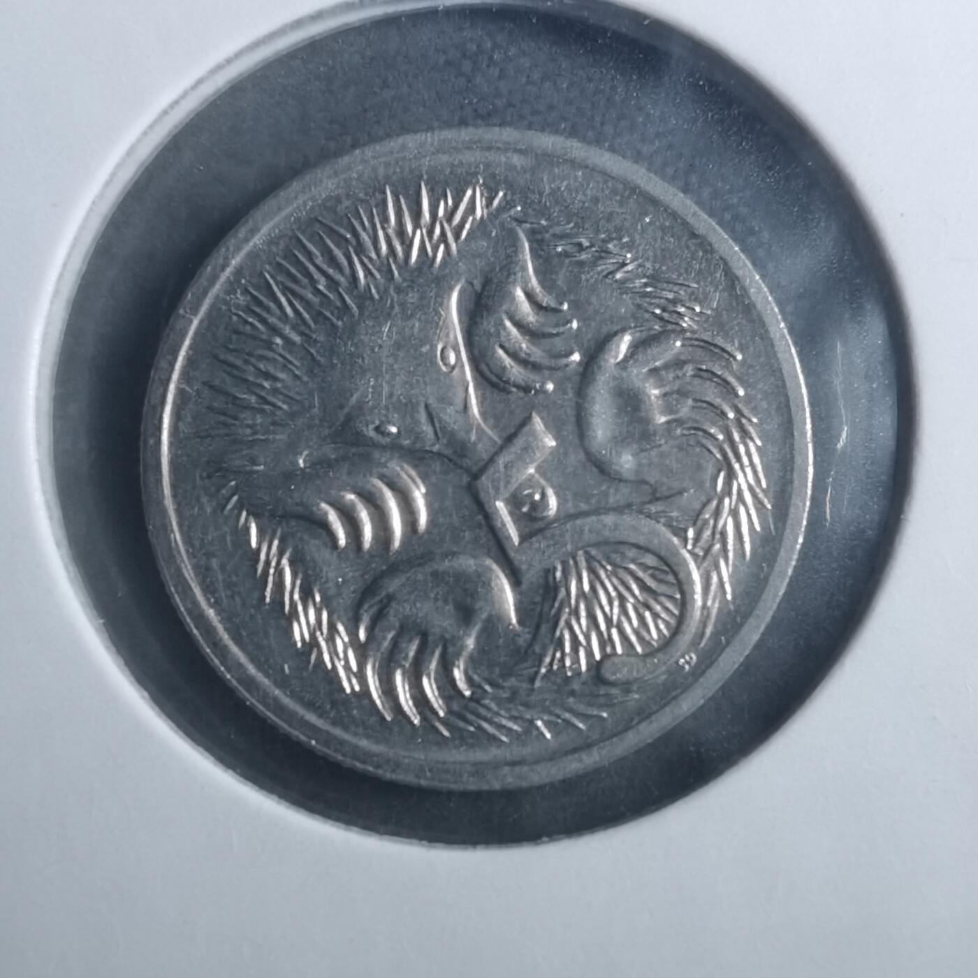 沼泽如烟--第893场