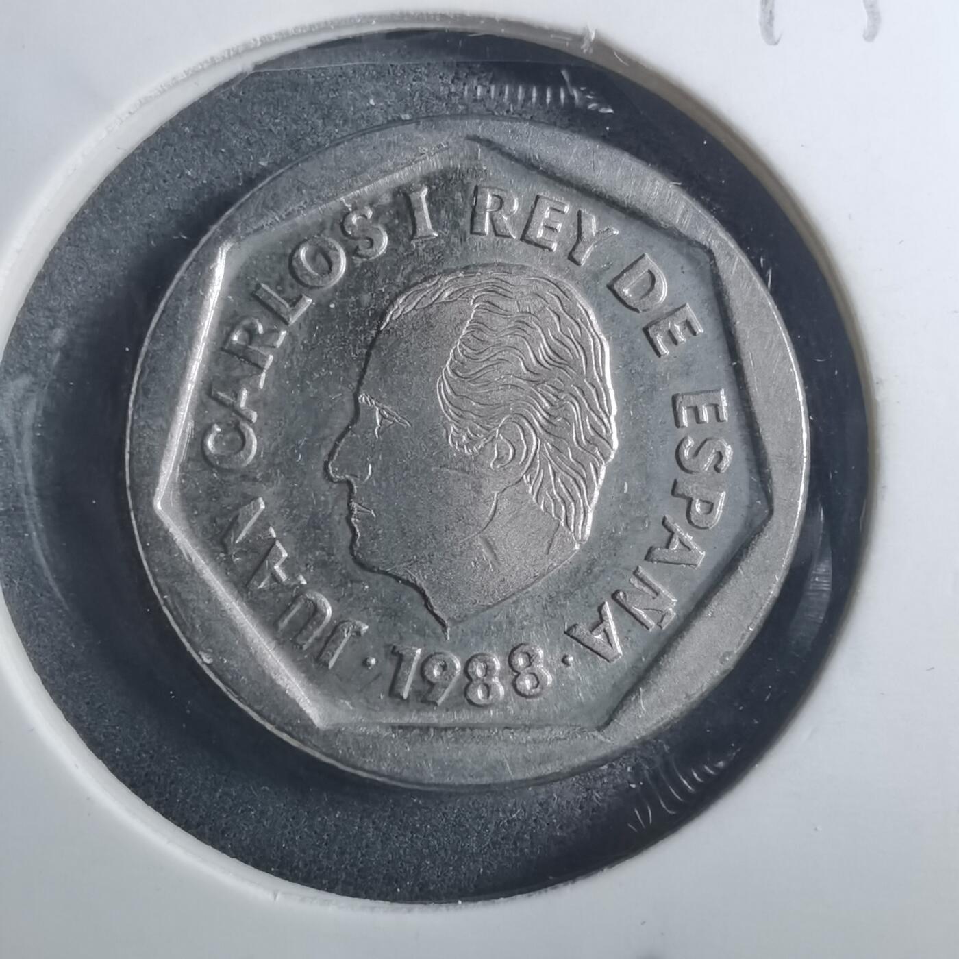 沼泽如烟--第893场