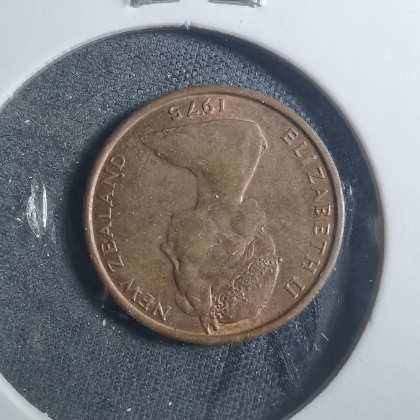 沼泽如烟--第893场