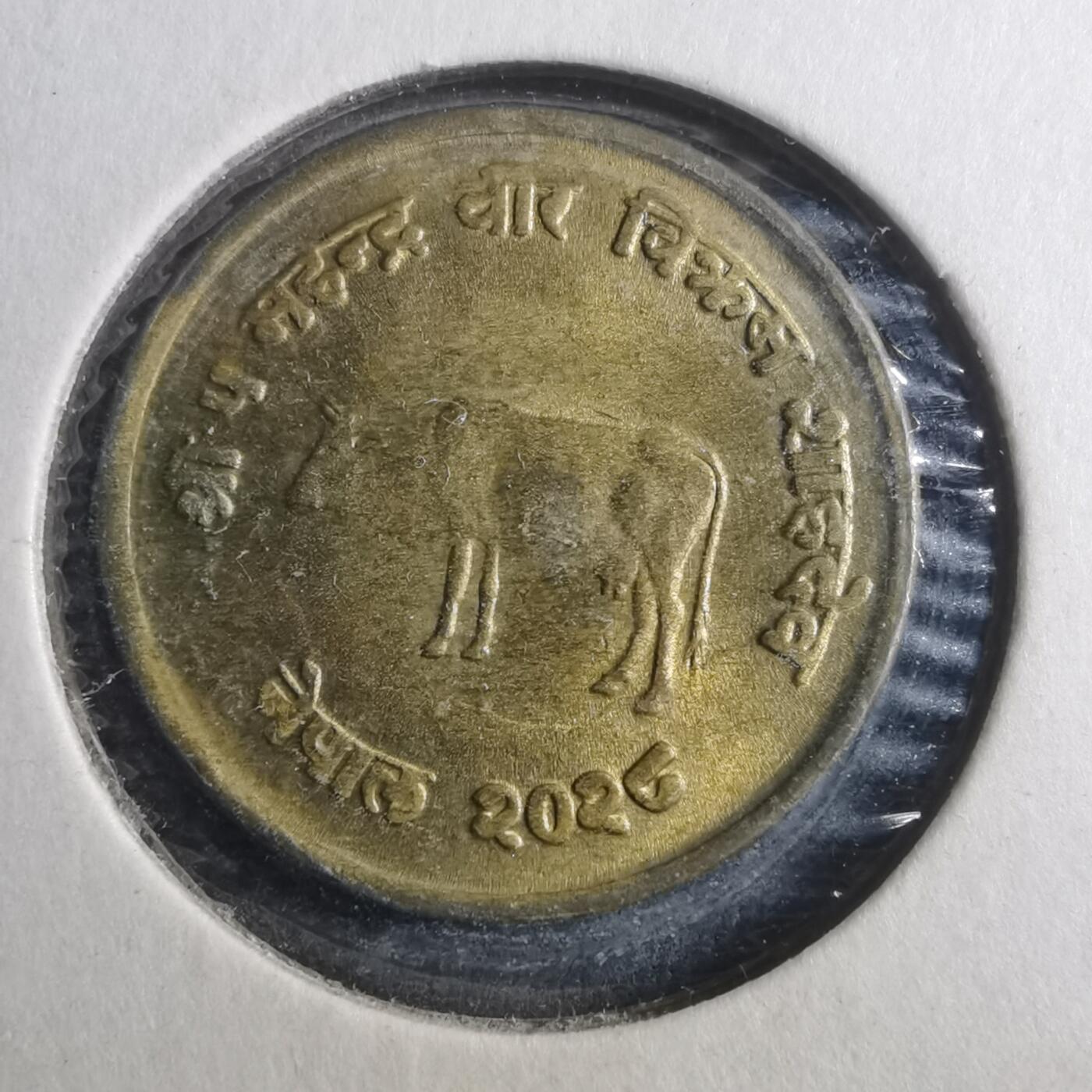 沼泽如烟--第893场 尼泊尔