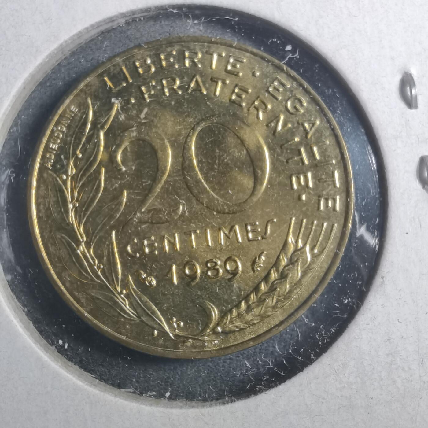 沼泽如烟--第893场