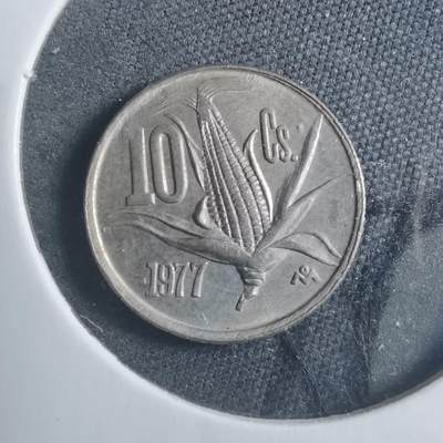 沼泽如烟--第893场 - 墨西哥1977年十分