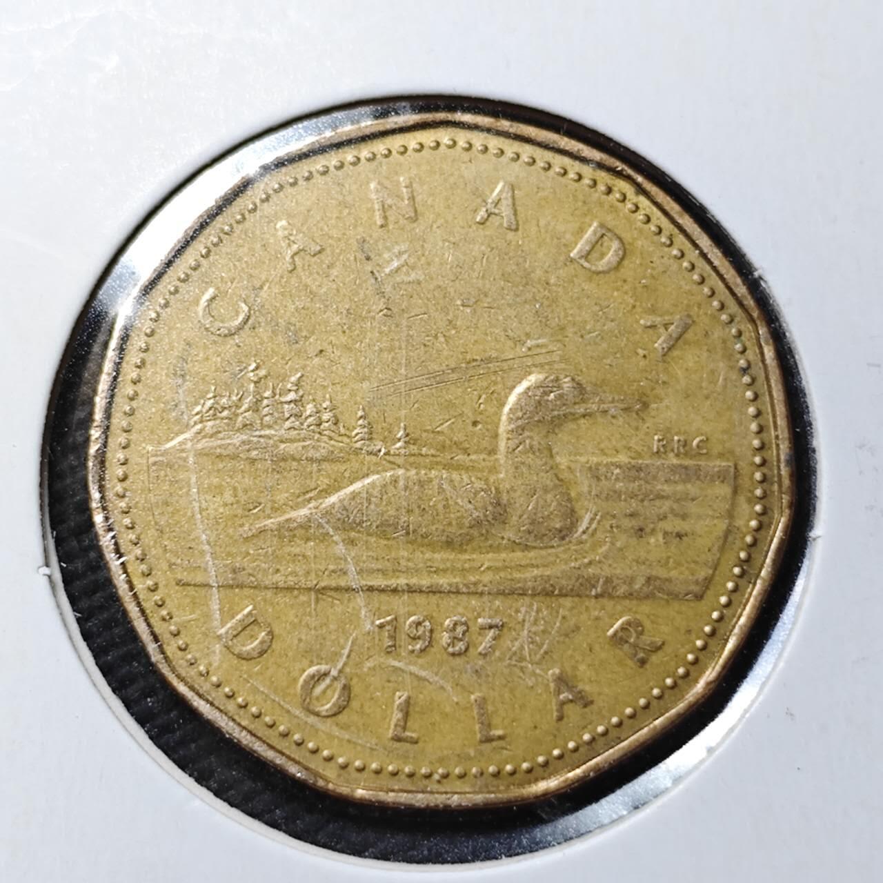 KK钱币收藏小铺  第365场  2月预留时间 周末发货  加拿大1元