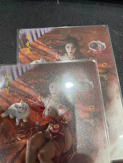 寸草不生拍卖会 第十三期 （ 持续收拍中） - 燎原卡牌 ST-Brush 老师 刷子老师作品 幻彩双服饰 -潘金莲