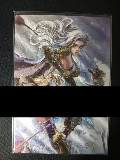 花开卡拍第46期（11月9号周日截拍，品控勿拍!!!拍品不寄存，运费5元，自制卡难免瑕疵，可能存在轻微撞角爆边等出厂瑕疵，品控介意勿拍！） - 藏无缺卡牌 璇哥 ACG-艾希 粗闪