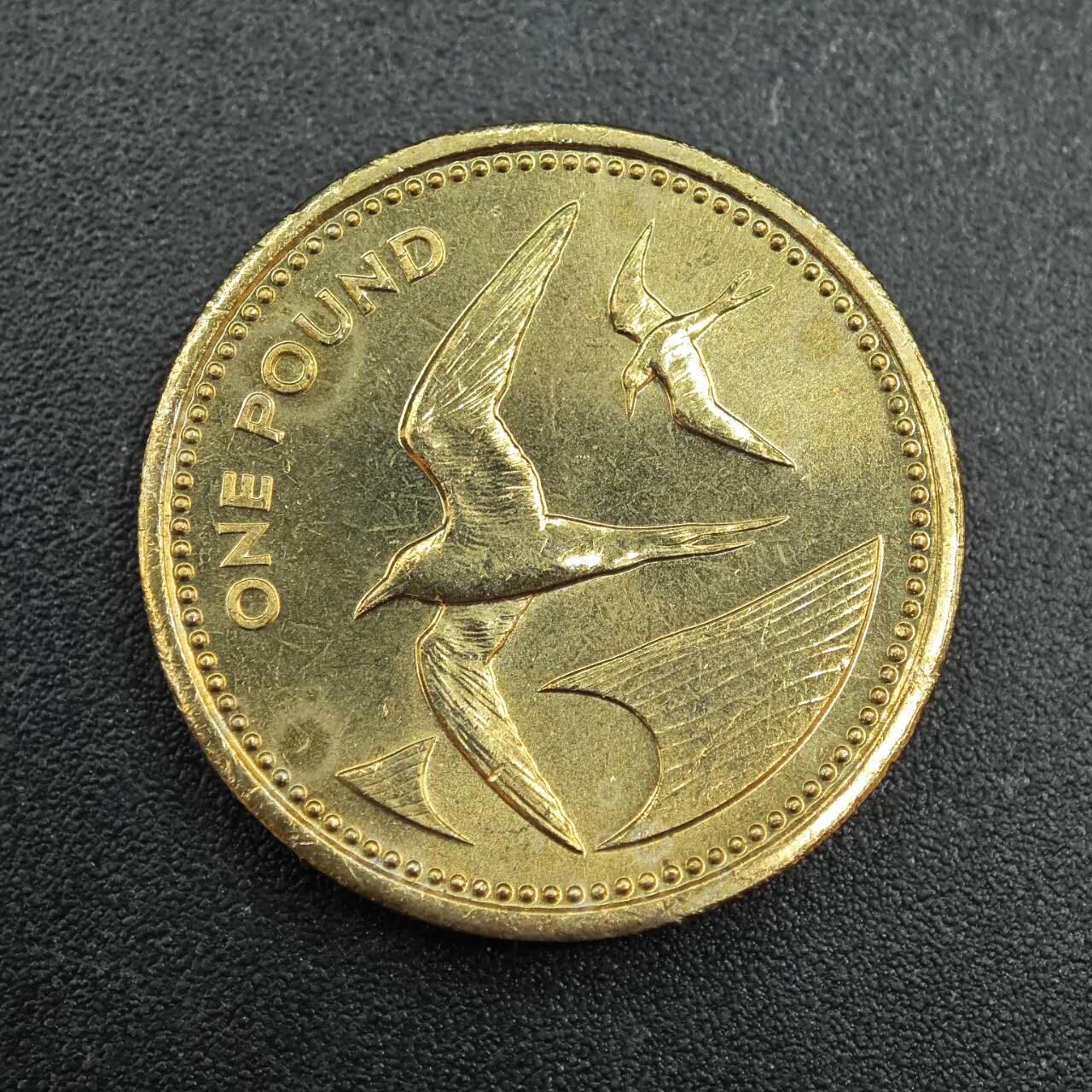 【淘币小摊】实时拍第七百九十拍   散币场   满百包邮可预留二周 每周一统一发货   圣赫勒拿1984年1镑燕鸥铜币