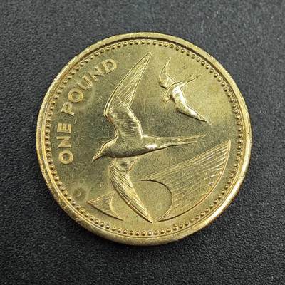 【淘币小摊】实时拍第七百九十拍   散币场   满百包邮可预留二周 每周一统一发货   - 圣赫勒拿1984年1镑燕鸥铜币