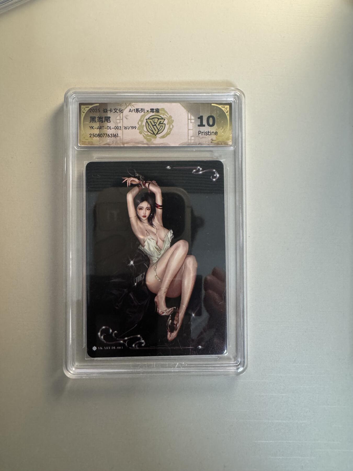 寸草不生拍卖会 第十三期 （ 持续收拍中） 2025 焱卡文化 Art系列x毒瘤
黑莺尾
YK-ART-DL-003 16V199 10p