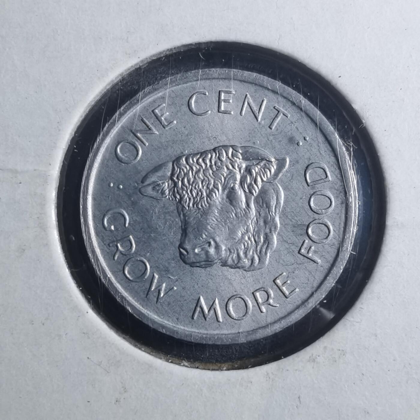 沼泽如烟--第893场