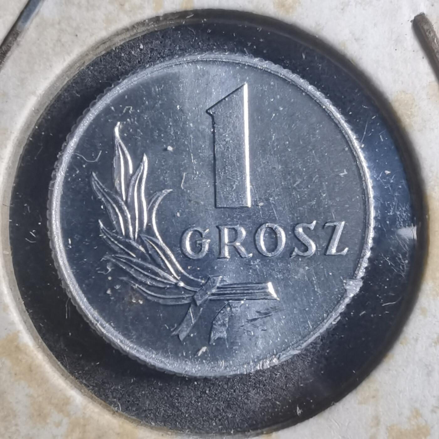 沼泽如烟--第893场