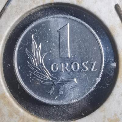 沼泽如烟--第893场 - 波兰1949年1格罗申