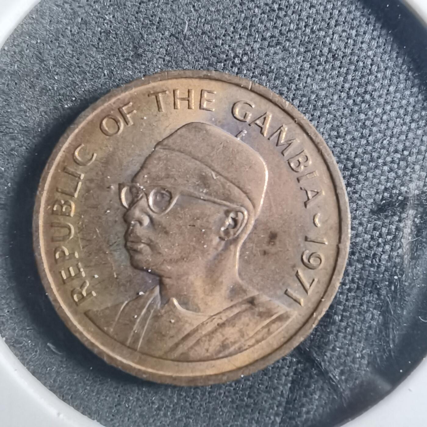 沼泽如烟--第893场