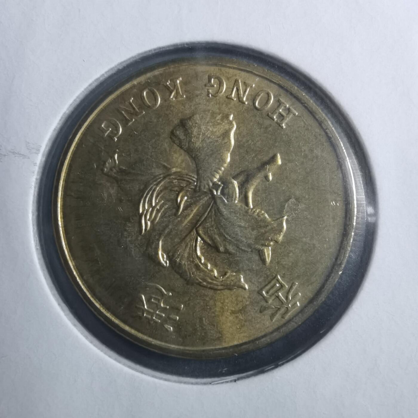 沼泽如烟--第893场