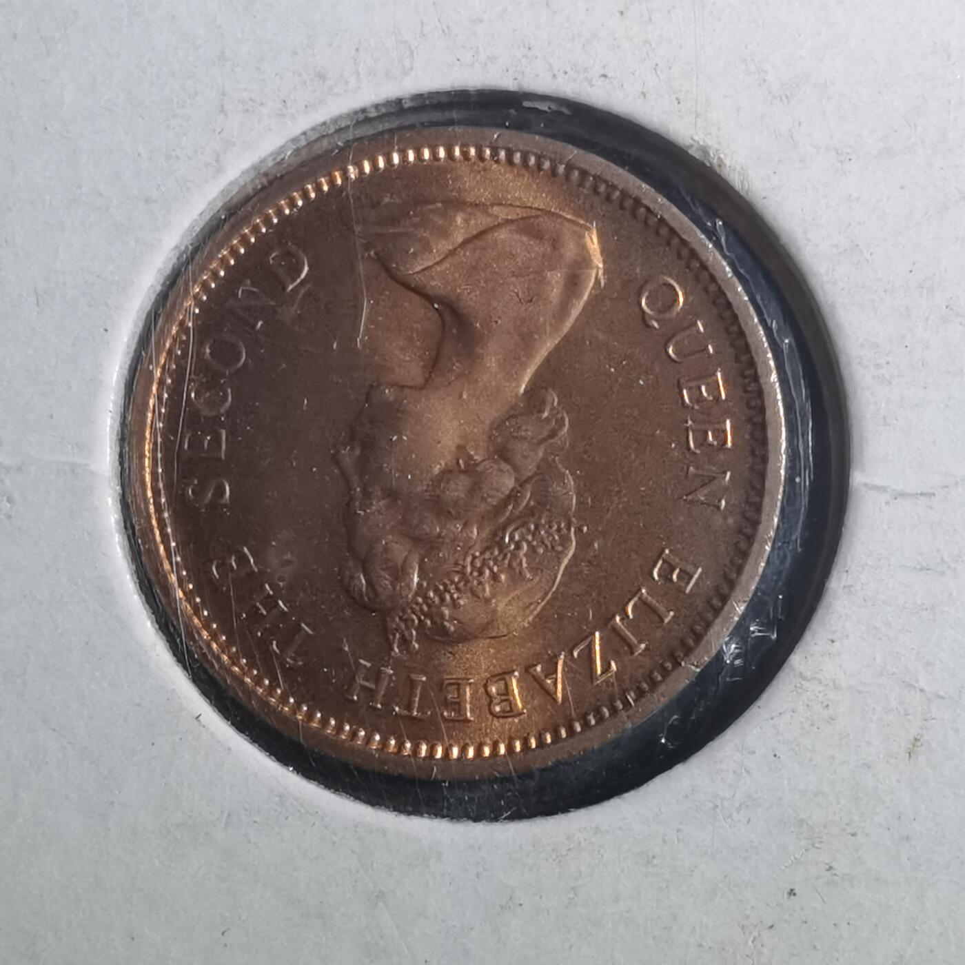 沼泽如烟--第893场 泽西1971年半便士