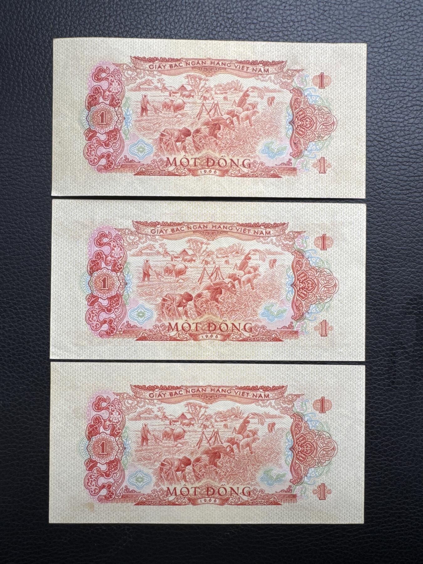 桂P钱币文化工作室拍卖第四十五期 中国代印越南1966年版1盾三张，热门代印品种，跟第三套人民币枣红一角风格相似