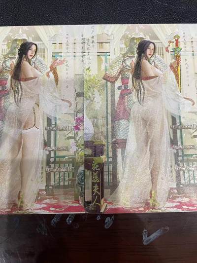 寸草不生拍卖会 第十三期 （ 持续收拍中） - 燎原卡牌 ST-Brush 老师 刷子老师作品 幻彩双服饰 -花蕊夫人