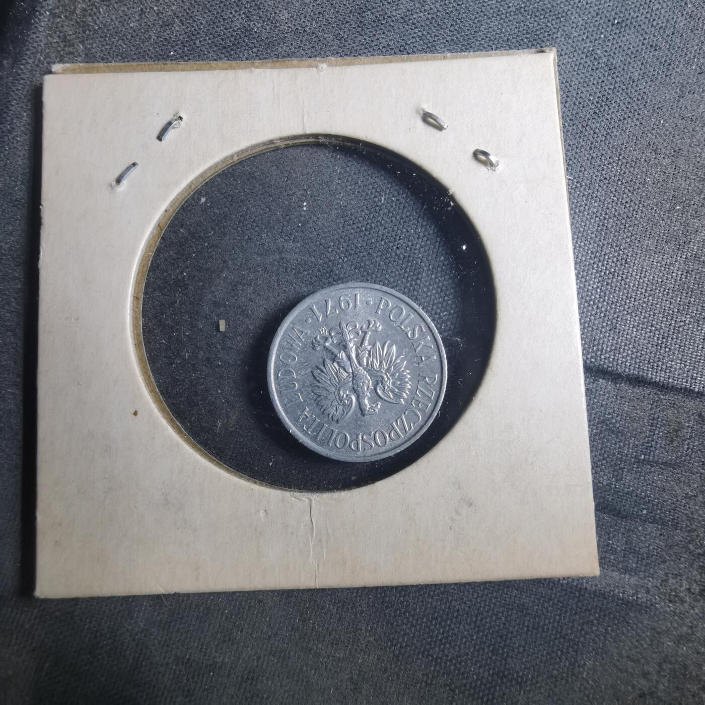 沼泽如烟--第893场