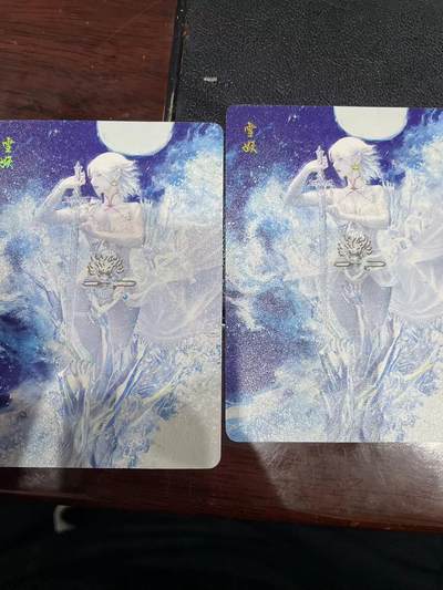 寸草不生拍卖会 第十三期 （ 持续收拍中） - 燎原卡牌 ST-Brush 老师 刷子老师作品 幻彩双服饰 -雪姬