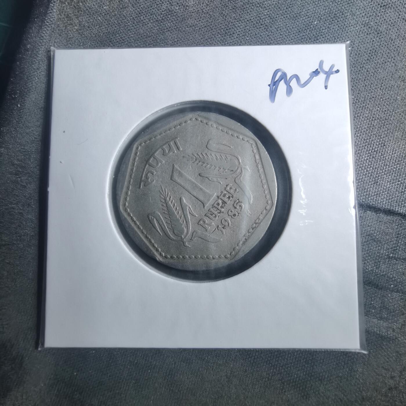 沼泽如烟--第893场