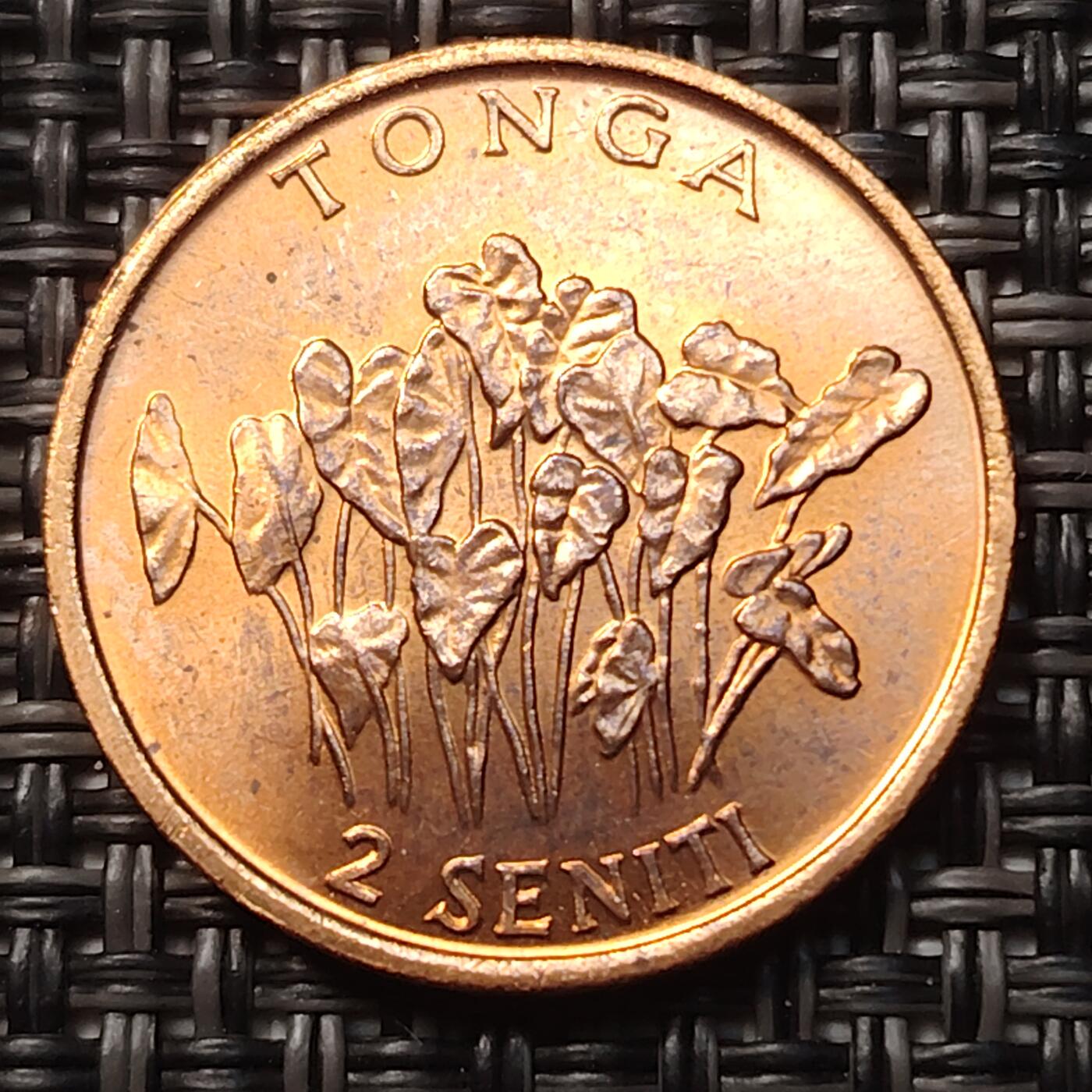 布加迪🐬～世界钱币(上海)🌾第 258 期 /  各国套币和散币 汤加🇹🇴 1981年 2分 FAO纪念币