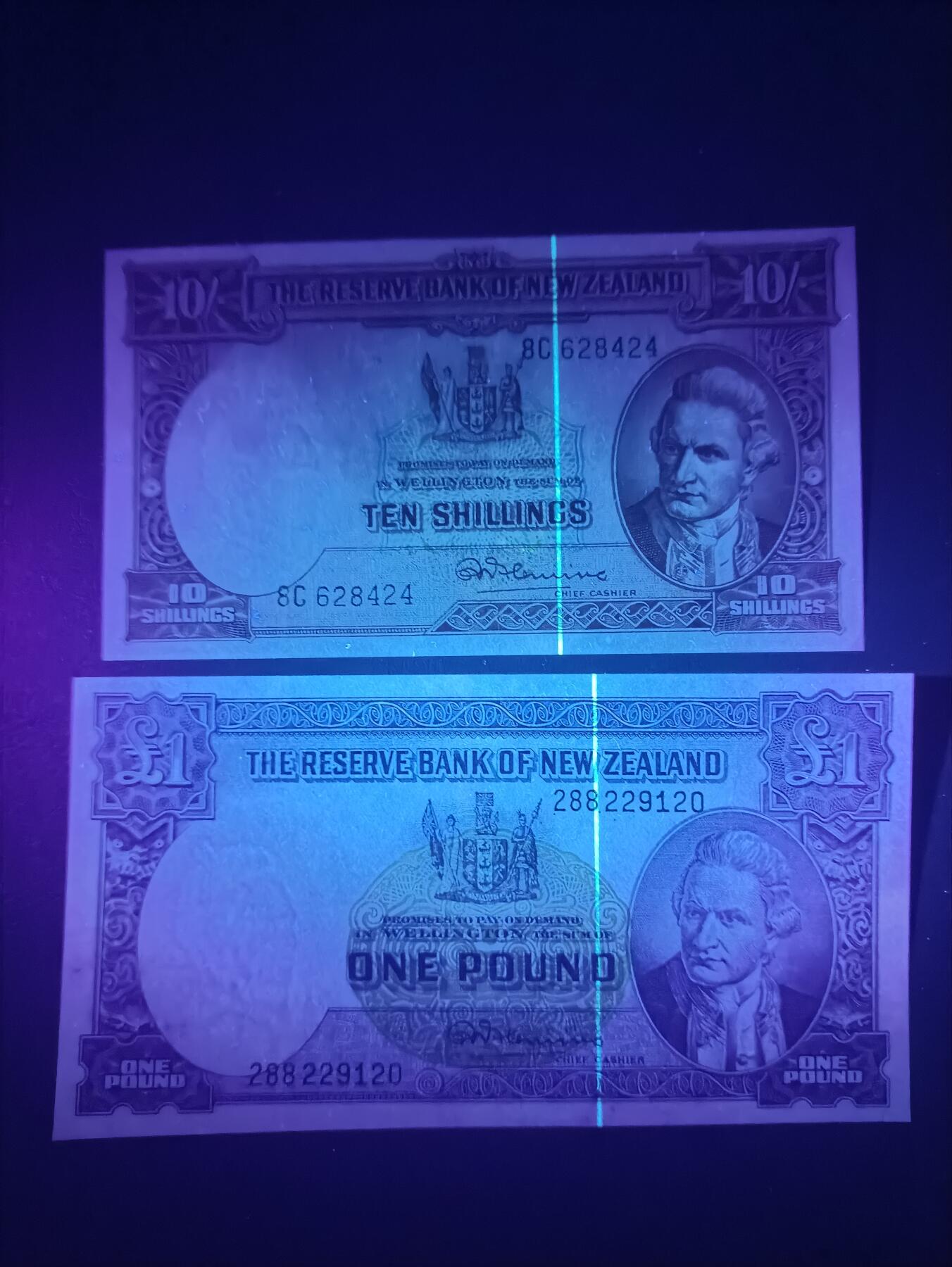 2025十一月第二期，总第200期