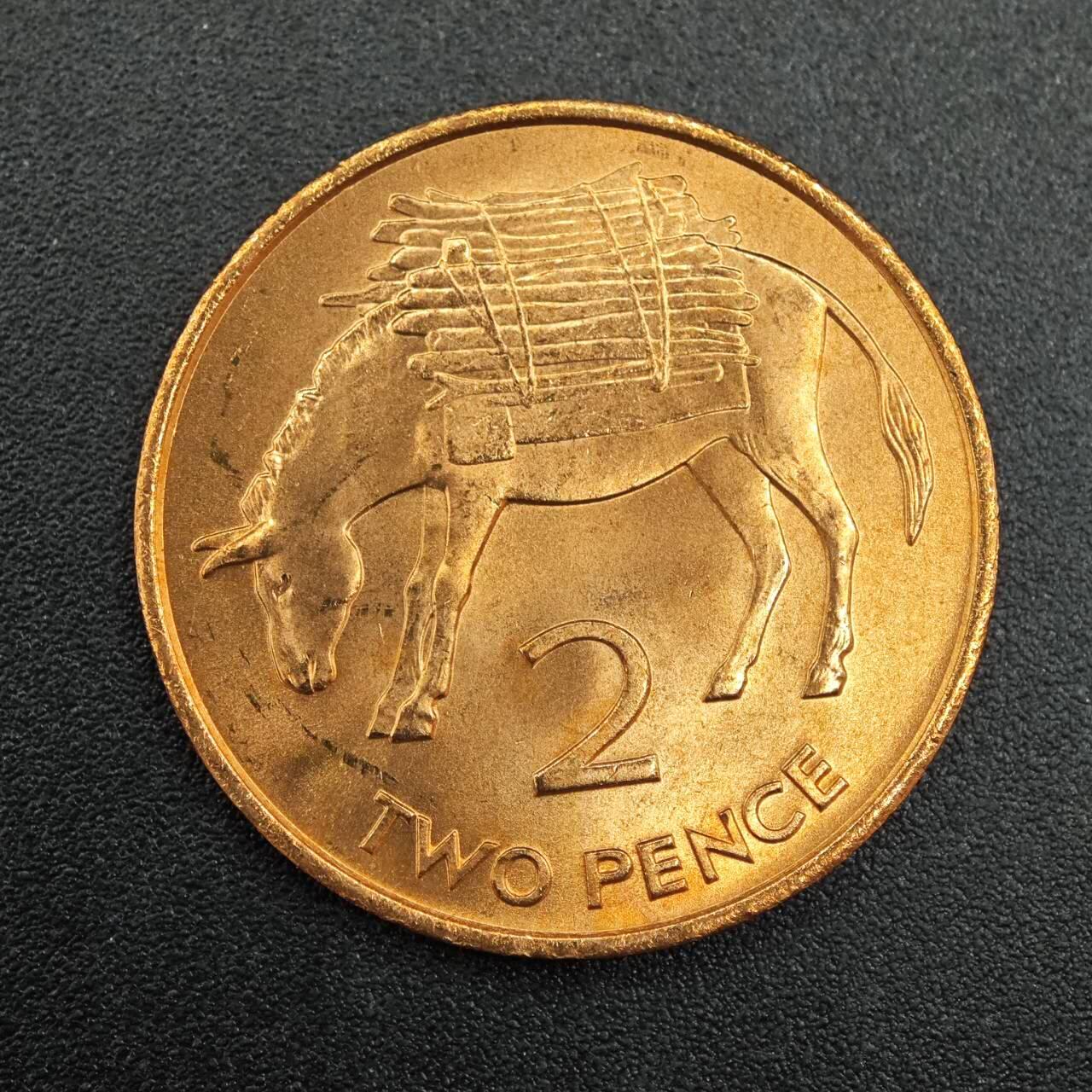 【淘币小摊】实时拍第七百九十拍   散币场   满百包邮可预留二周 每周一统一发货   圣赫勒拿1984年2便士毛驴铜币