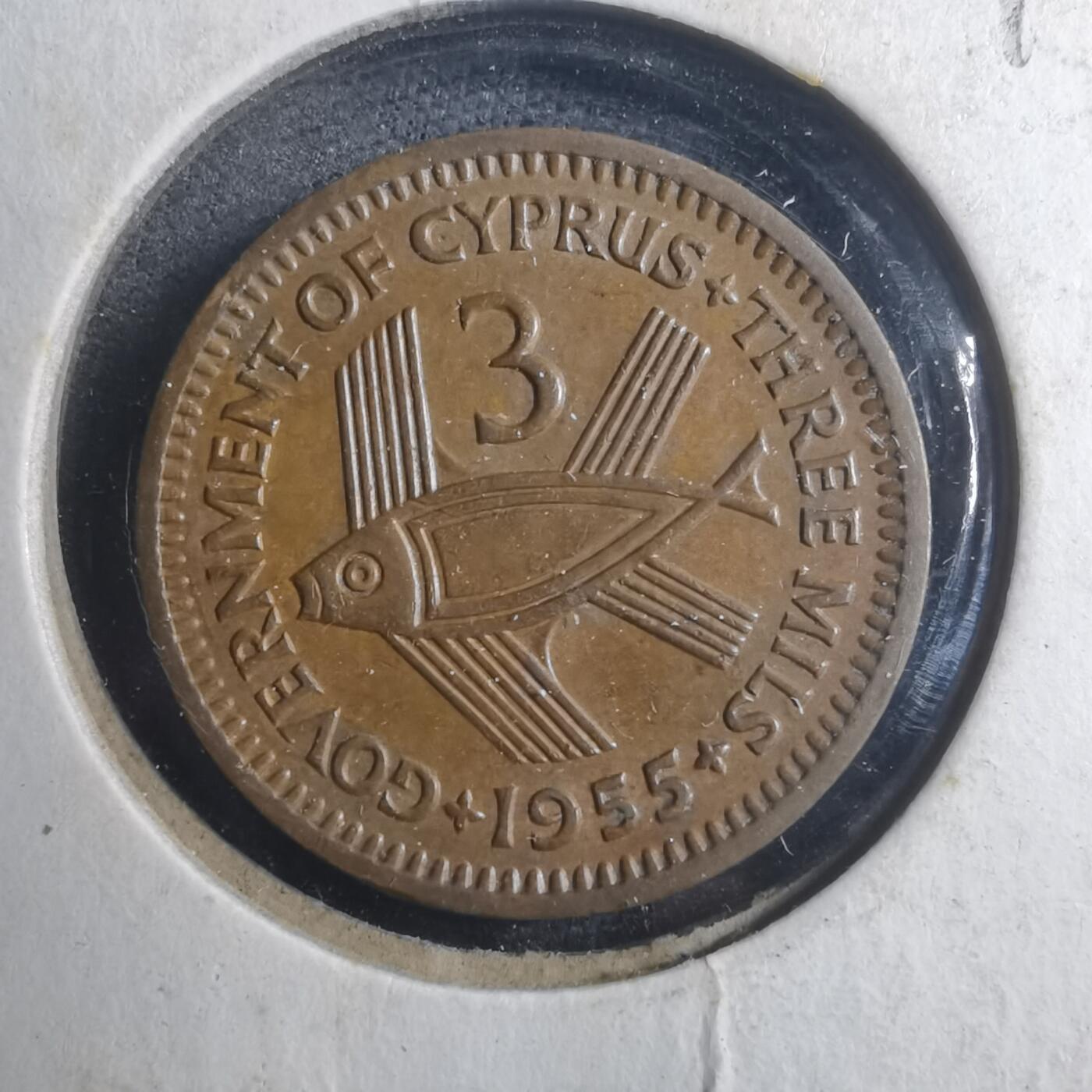 沼泽如烟--第893场