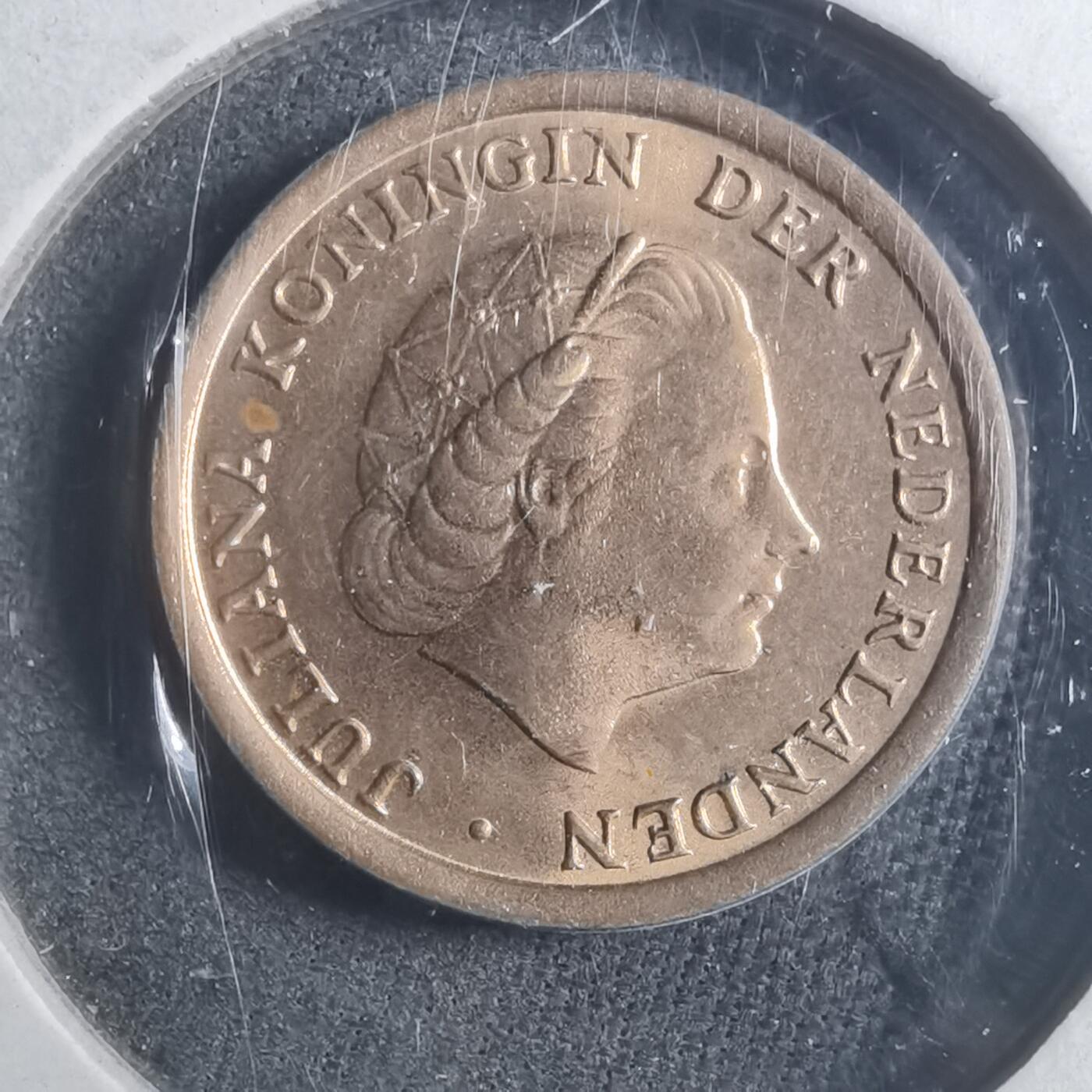 沼泽如烟--第893场