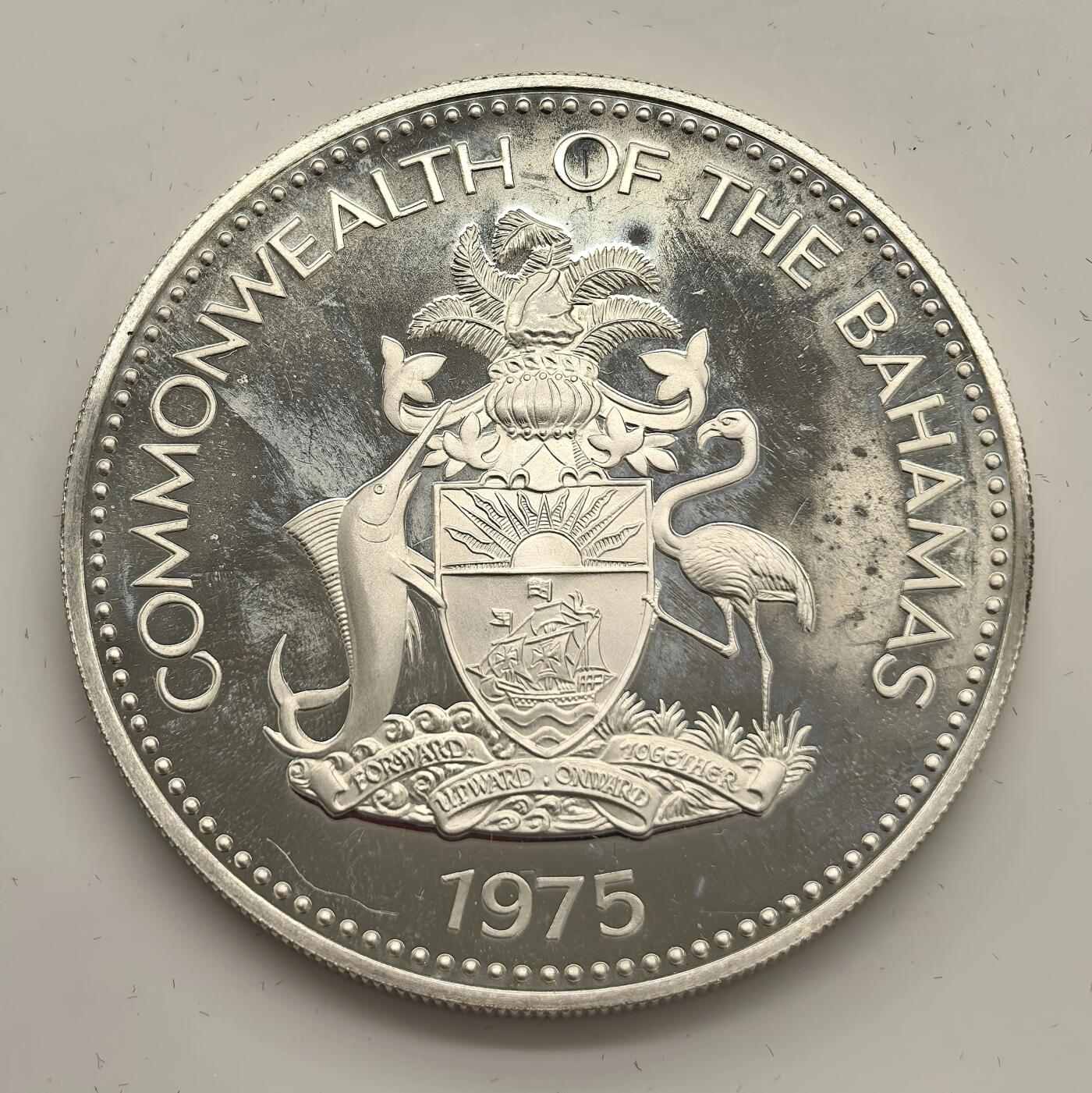 博洋堂“物美丰成”11月精品专场暨第145期（全场包邮）