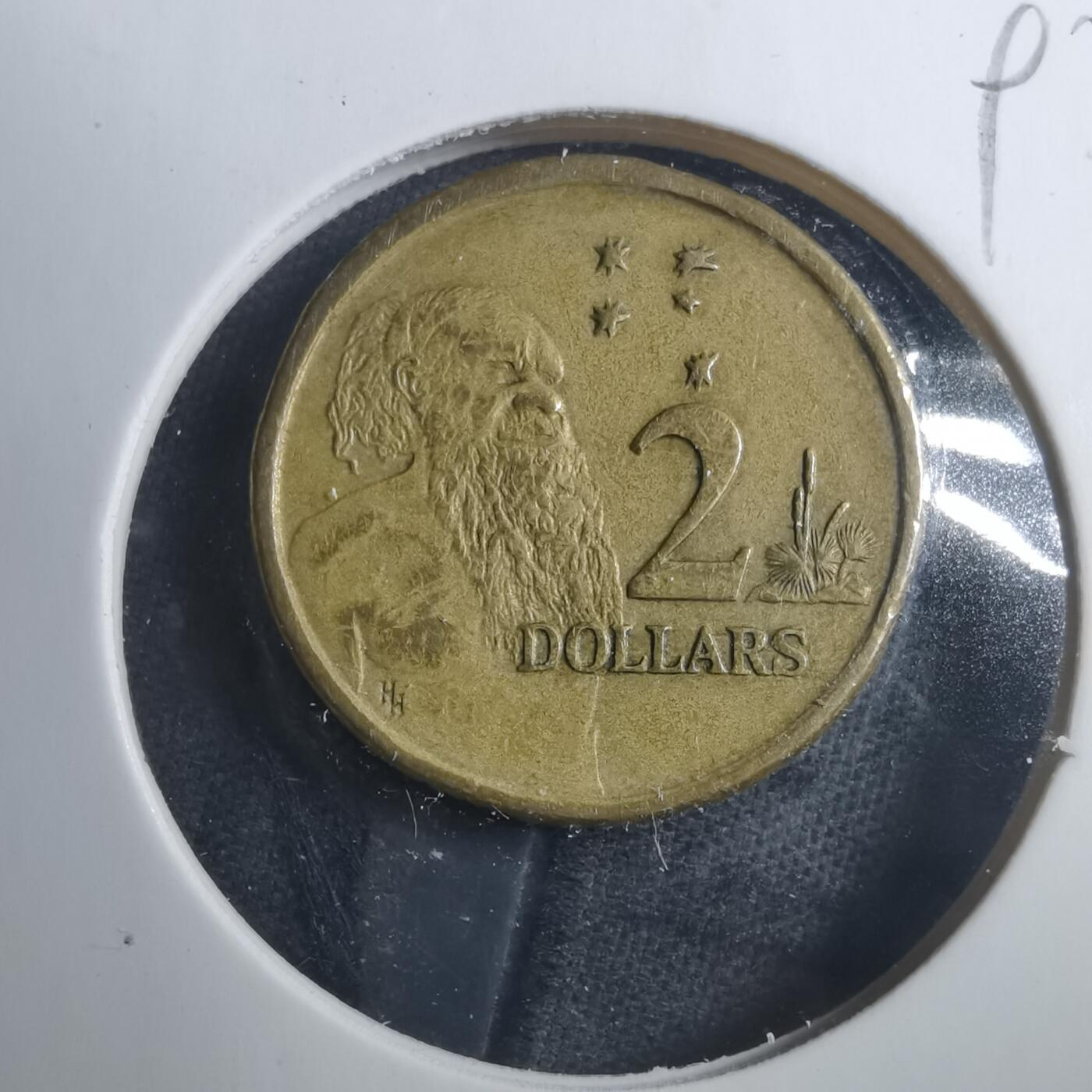 沼泽如烟--第893场