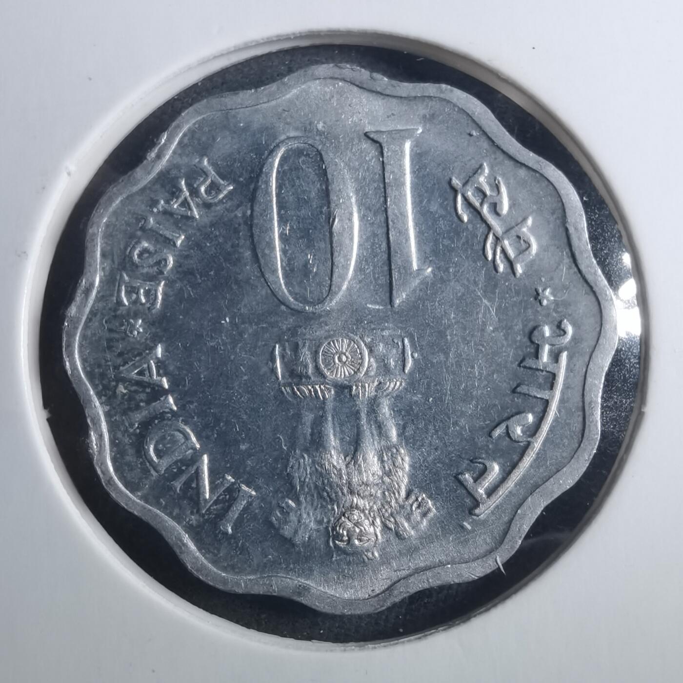 沼泽如烟--第893场