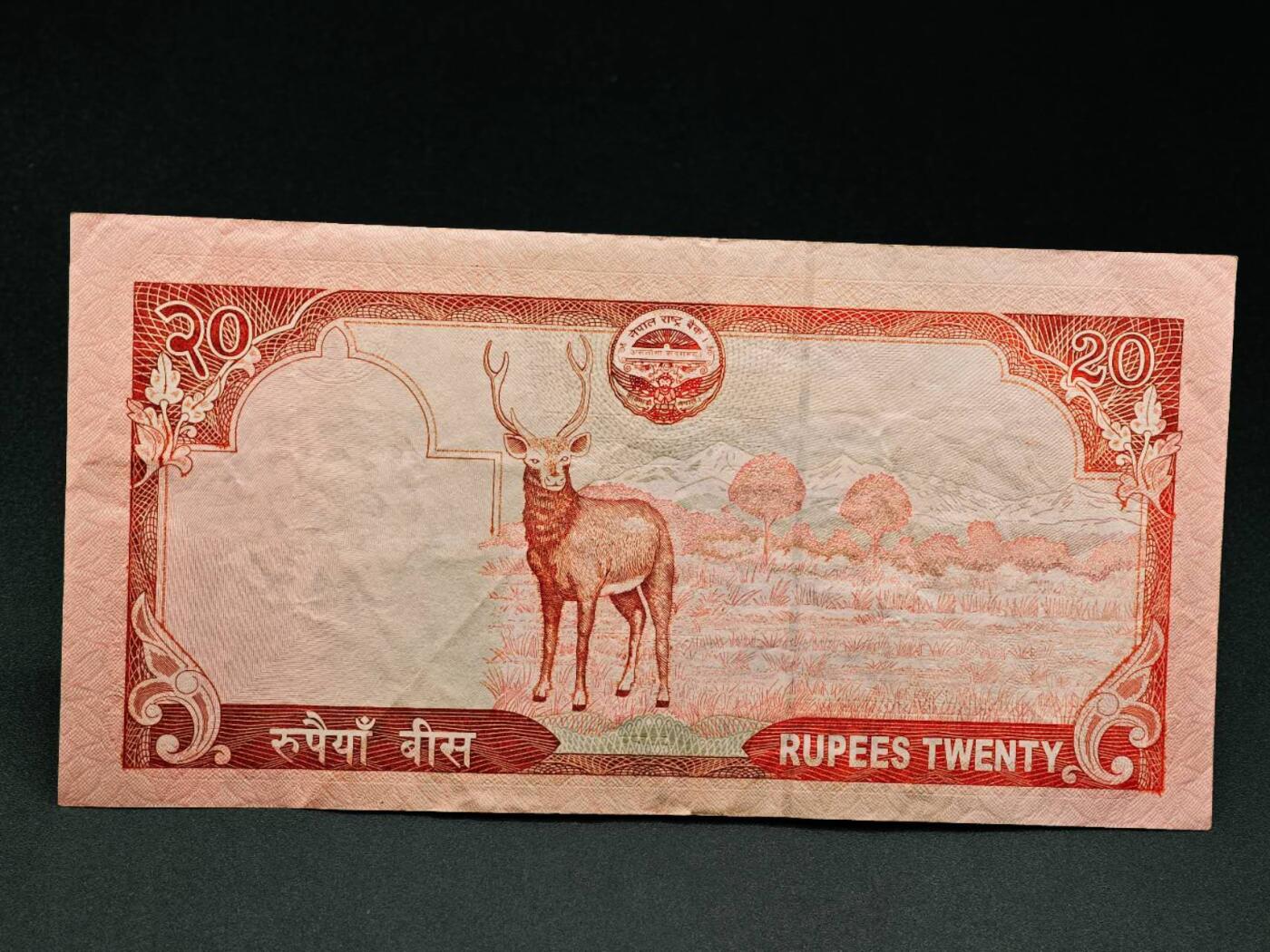 【淘币小摊】实时拍第七百九十一拍   散币纸币套币场   满百包邮可预留二周 每周一统一发货   尼泊尔20卢比