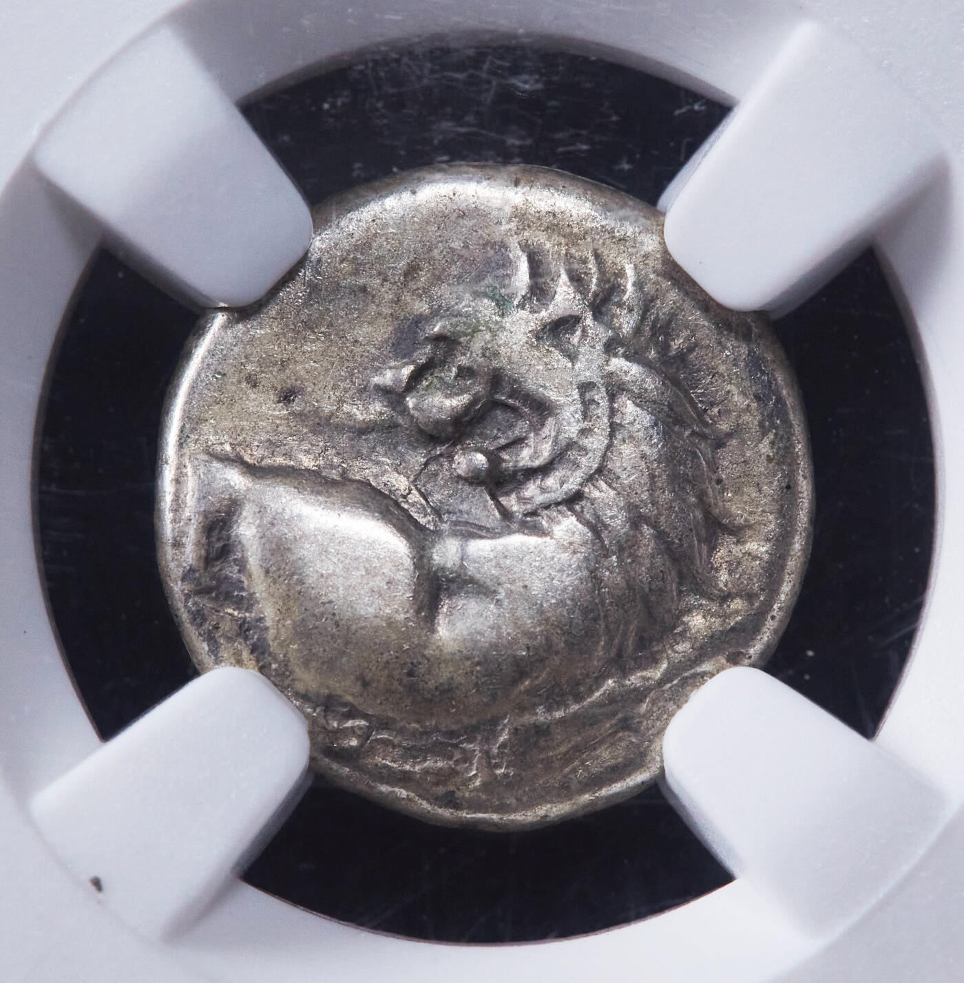 【俄甄集藏】2025年(044)11-12星期三晚 19:30 全场包邮 古希腊色雷斯切尔松尼索斯城邦公元前4世纪回首狮1德拉克马古代老假Fourrée银皮铜芯币，NGC ChVF，正面是回首狮子图案，背面为四格戳记内月桂环，整体银皮保存不错，回首狮少见的老假品种，直径13mm