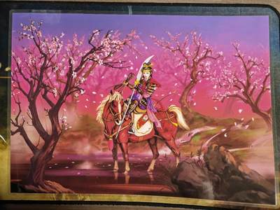 阳大大卡牌拍卖第81期（持续收拍品，周六晚上九点截拍，进群福利早知道） - 【海报】小浣熊 水浒英雄传  扈三娘全景防水海报