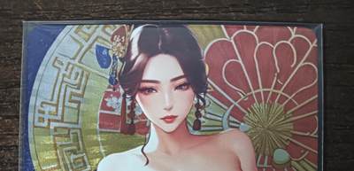 花开卡拍第46期（11月9号周日截拍，品控勿拍!!!拍品不寄存，运费5元，自制卡难免瑕疵，可能存在轻微撞角爆边等出厂瑕疵，品控介意勿拍！） - 砖家卡牌 艺术卡 花魁 1张 粗闪