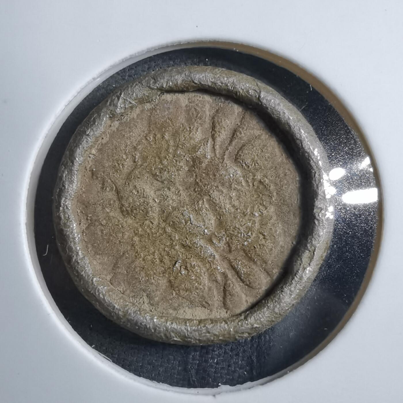 沼泽如烟--第894场 人为币