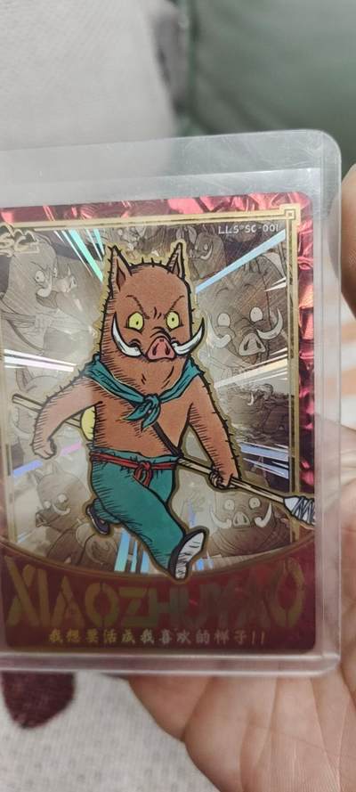 秋原瞳的小店第二十八期（持续收拍，深夜入冬的稀雨，总是静寂的……） - 卡游浪浪山sc猪猪侠，实物工艺非常棒