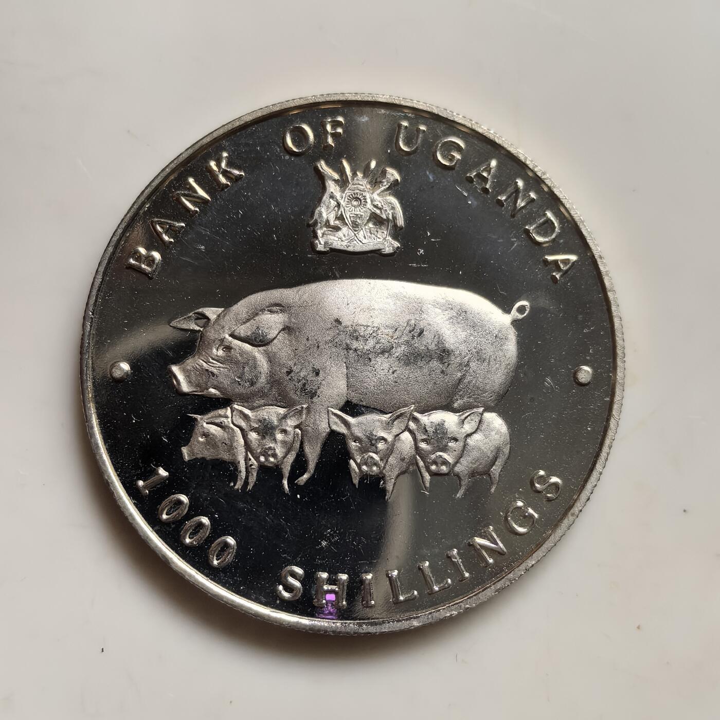 道一币馆币章第一百五十三场 乌干达1995年1000先令中国乙亥猪年彩绘精制纪念币