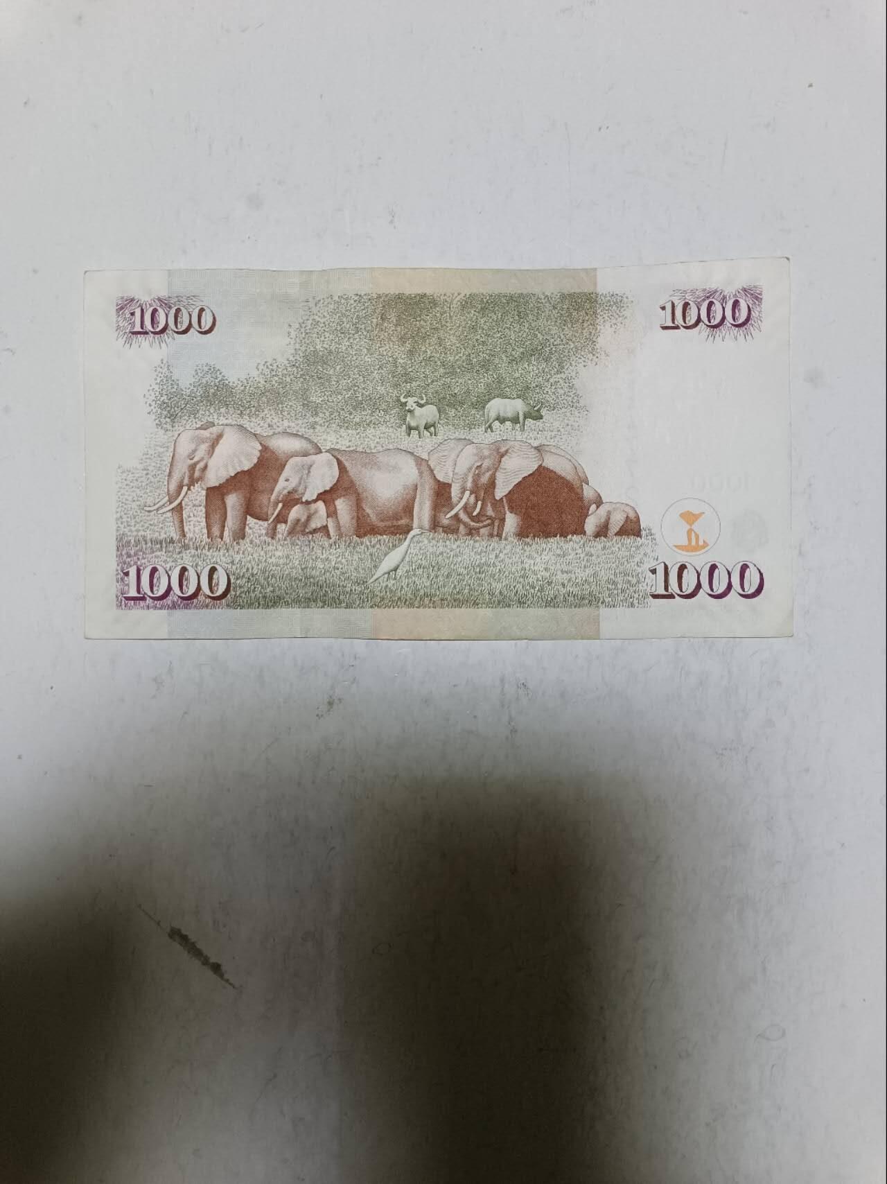 【20251110】非全新纸币第302场 肯尼亚2010年1000先令，汇率价约为55元