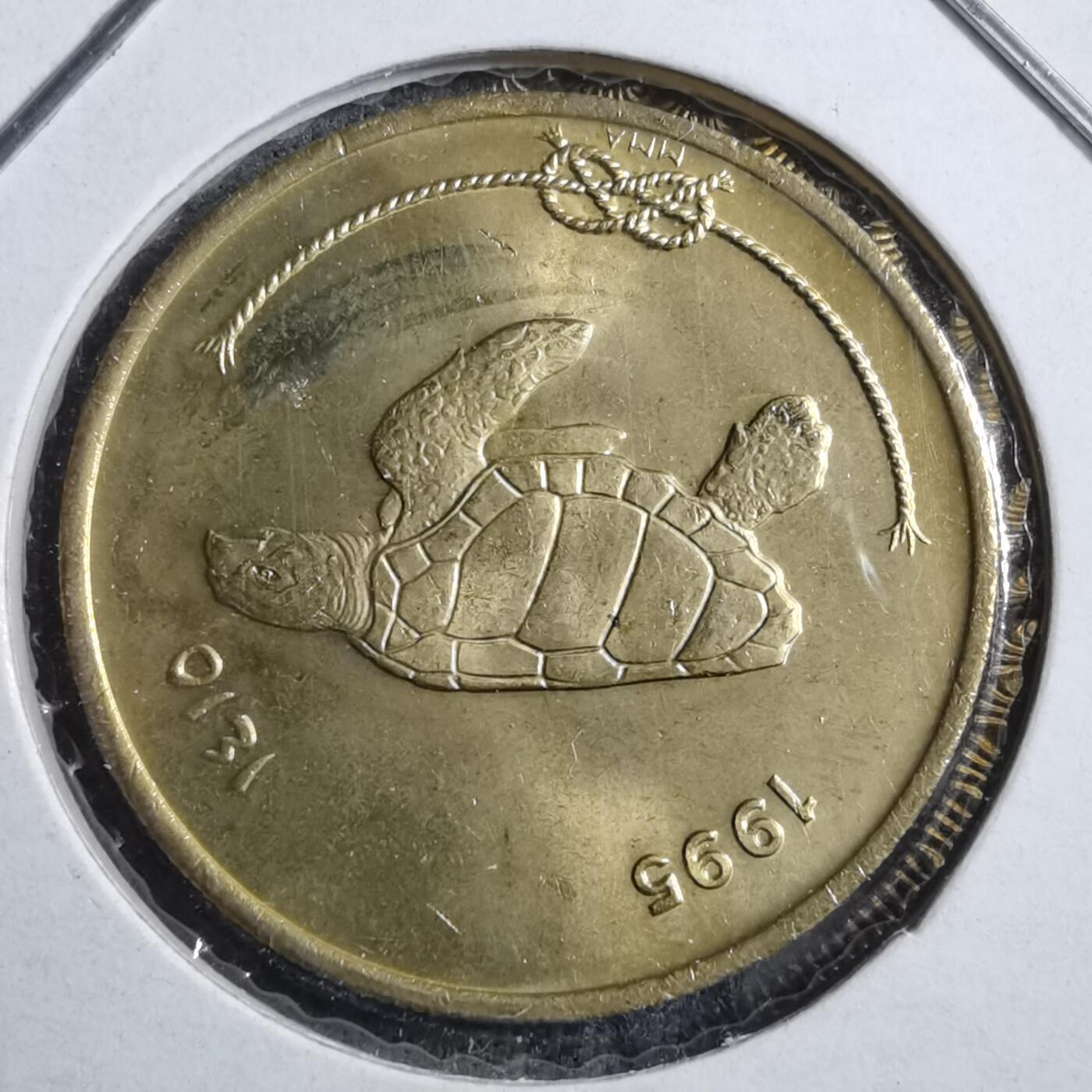 沼泽如烟--第894场 马尔代夫1995年50拉雷