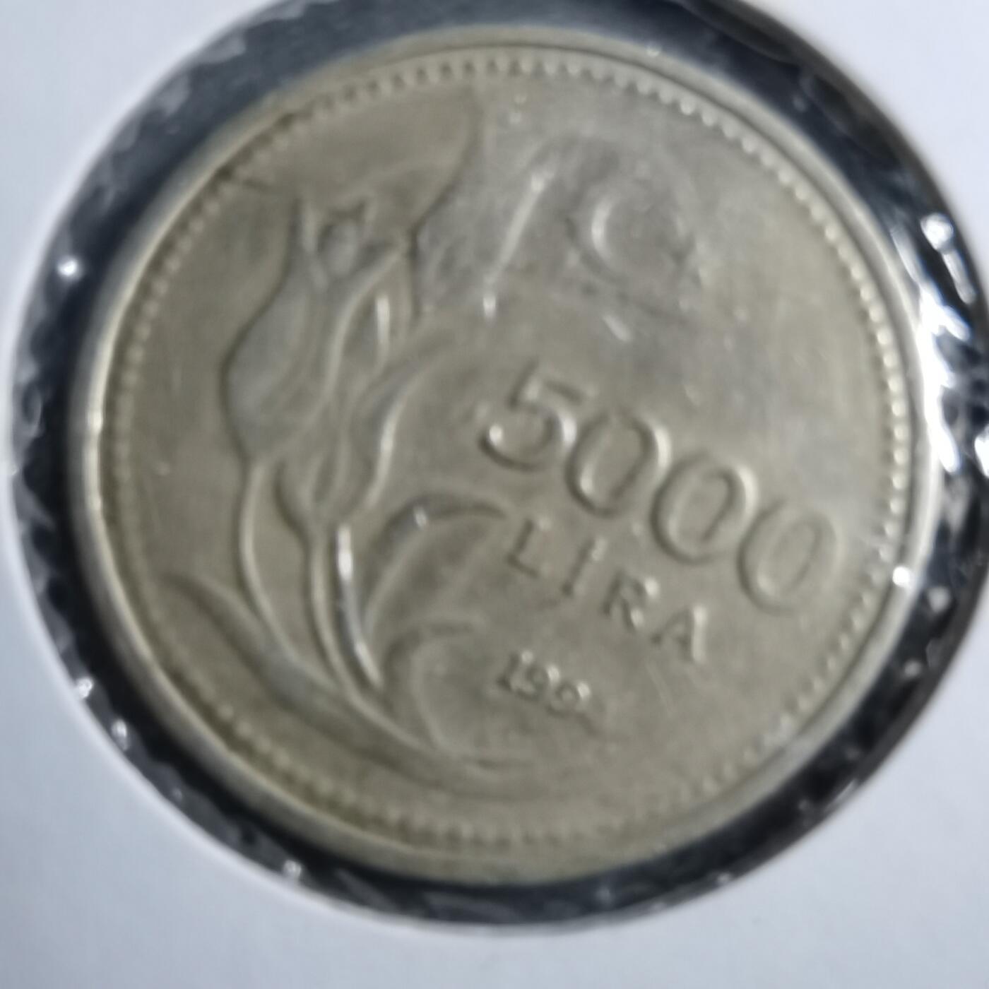 沼泽如烟--第894场 土耳其1994年5000里拉