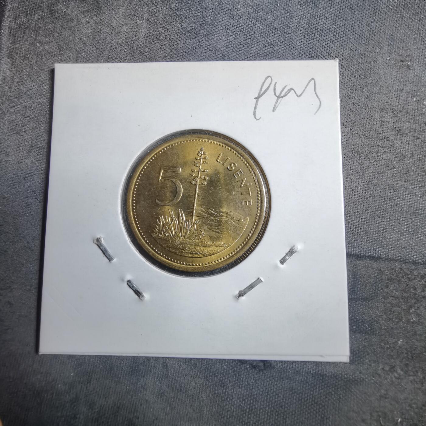 沼泽如烟--第894场