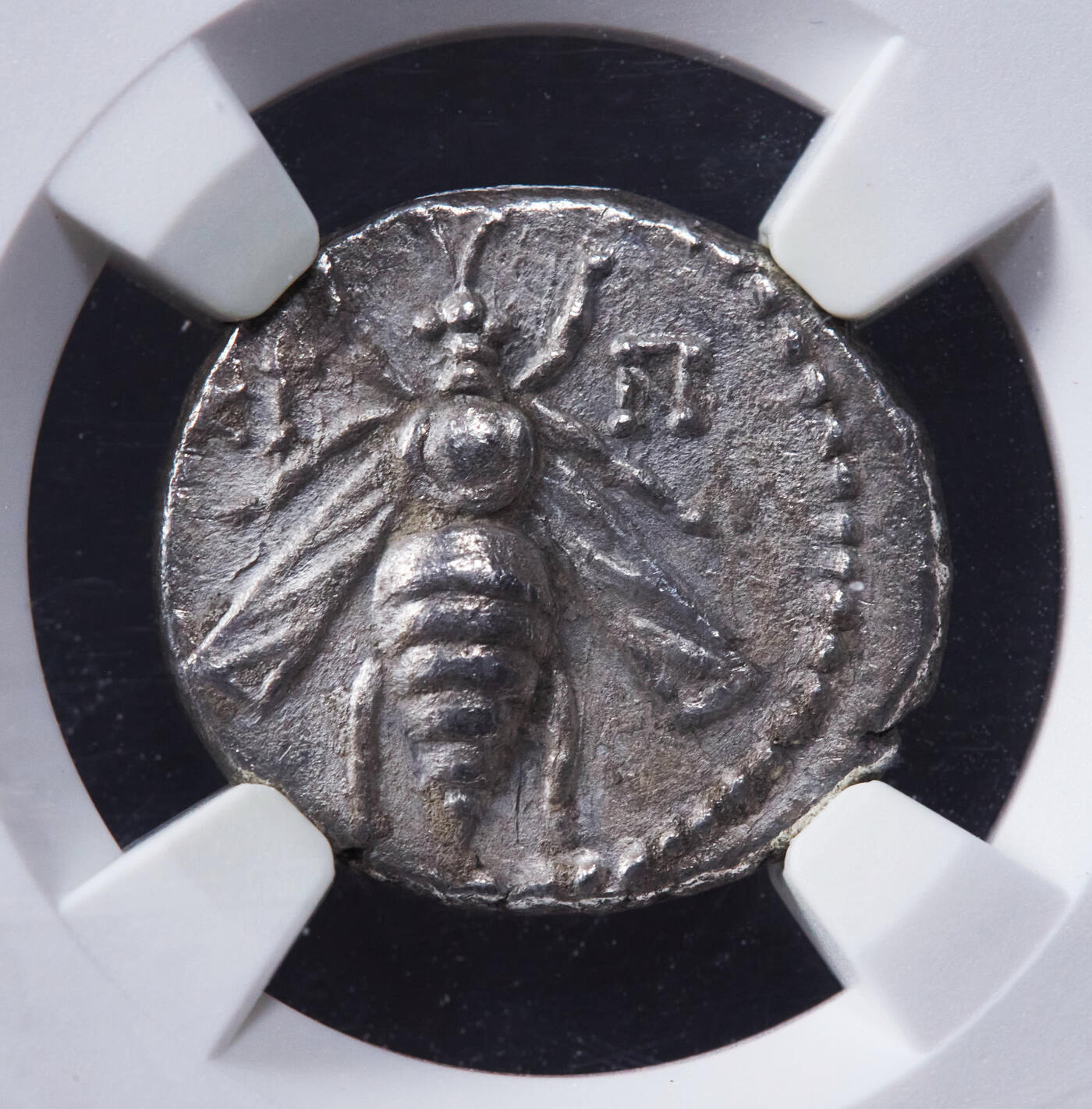 【俄甄集藏】2025年(044)11-12星期三晚 19:30 全场包邮 古希腊腓尼基阿拉多斯公元前153-前152年1德拉克马蜜蜂/雄鹿银币，NGC AU(Str 5/5, Sur 2/5)，带明确发行纪年，正面蜜蜂代表月神阿尔忒弥斯的化身，背面是代表月神阿尔忒弥斯驭兽的雄鹿站像，雄鹿后方是一棵棕榈树，币文为地名阿拉多斯，细节精美刻画生动，阿拉多斯蜜蜂银币十分稀少，常见品种为弗所城发行的蜜蜂银币直径18mm，重3.96克