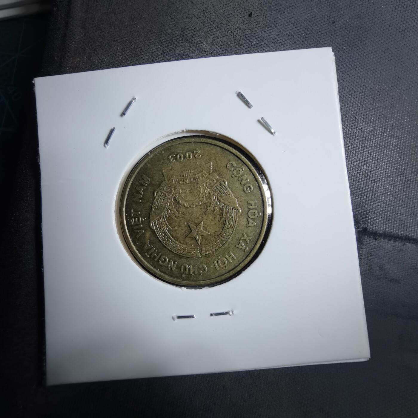 沼泽如烟--第894场