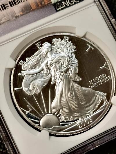 甄臻铺-世界币章拍卖（第38期）立冬小精品场，送拍享返佣金等优惠多多 NGC-PF69UC 美国2003年W厂行走女神一元