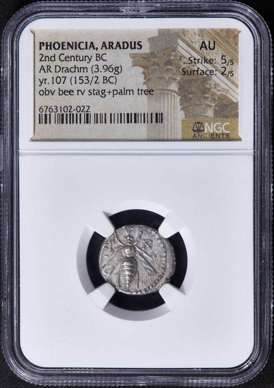 【俄甄集藏】2025年(044)11-12星期三晚 19:30 全场包邮 - 古希腊腓尼基阿拉多斯公元前153-前152年1德拉克马蜜蜂/雄鹿银币，NGC AU(Str 5/5, Sur 2/5)，带明确发行纪年，正面蜜蜂代表月神阿尔忒弥斯的化身，背面是代表月神阿尔忒弥斯驭兽的雄鹿站像，雄鹿后方是一棵棕榈树，币文为地名阿拉多斯，细节精美刻画生动，阿拉多斯蜜蜂银币十分稀少，常见品种为弗所城发行的蜜蜂银币直径18mm，重3.96克