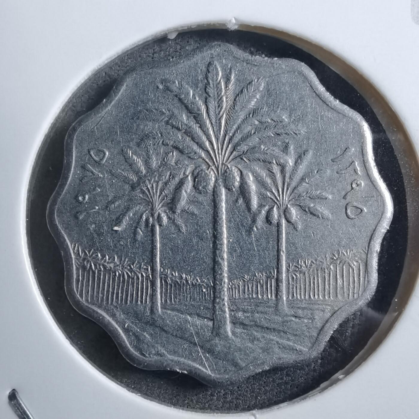 沼泽如烟--第894场